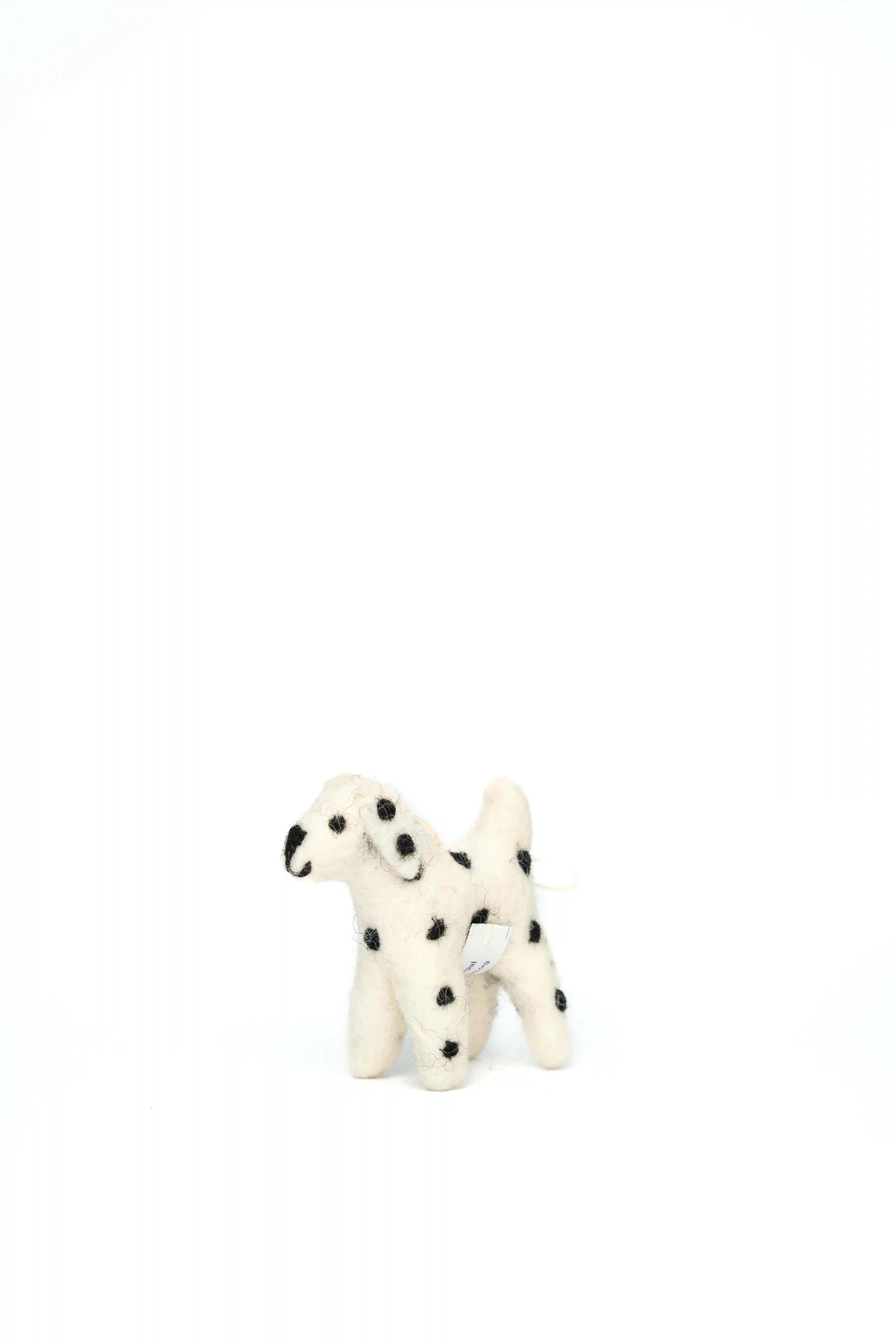 dalmatian